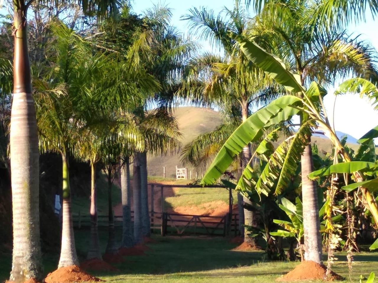 Terreno, 105 m² - Foto 11