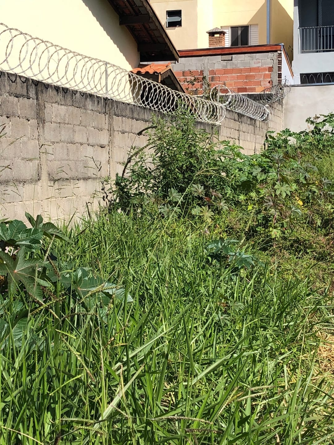 Terreno, 125 m² - Foto 1