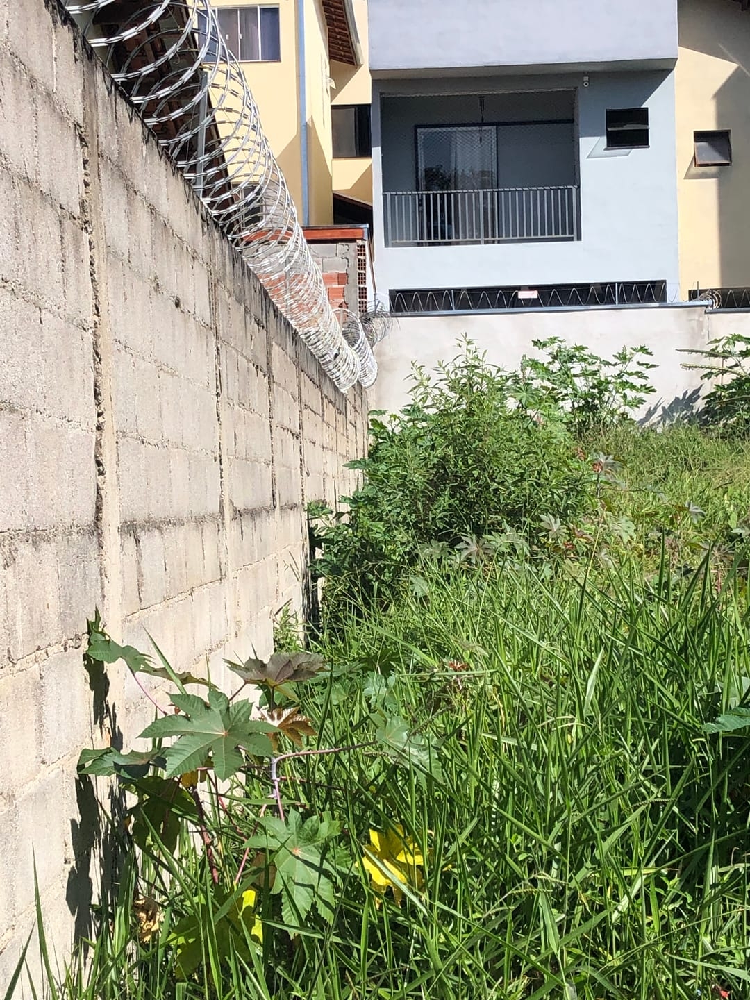 Terreno, 125 m² - Foto 2