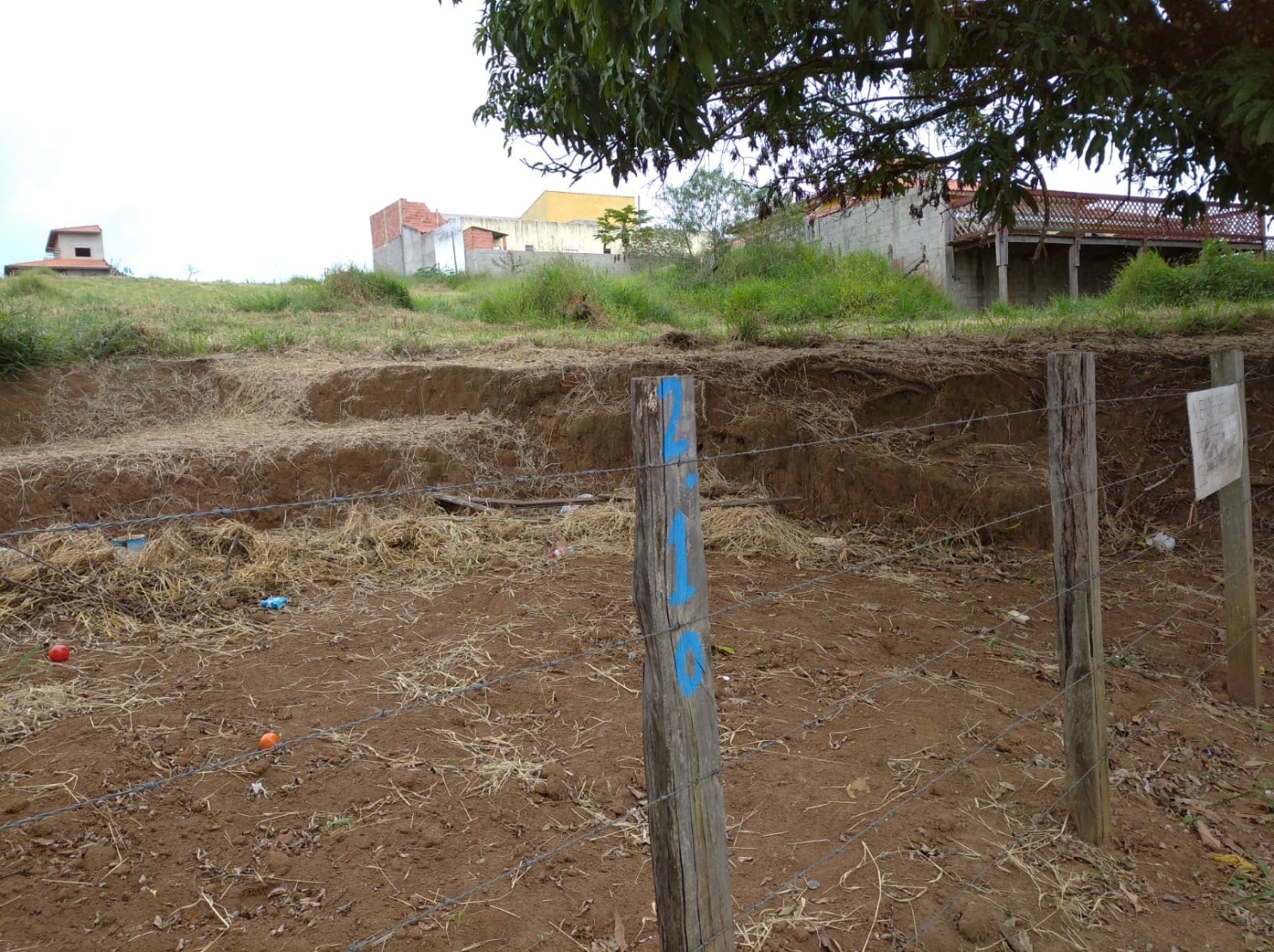 Terreno, 5000 m² - Foto 3