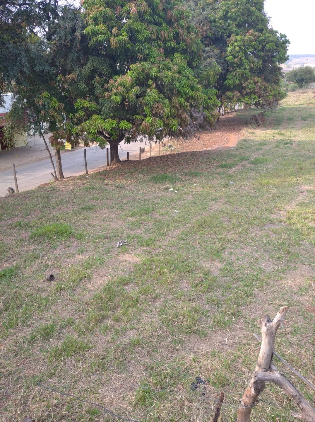 Terreno, 5000 m² - Foto 4
