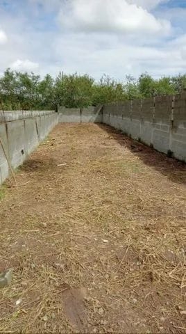 Terreno - Foto 2