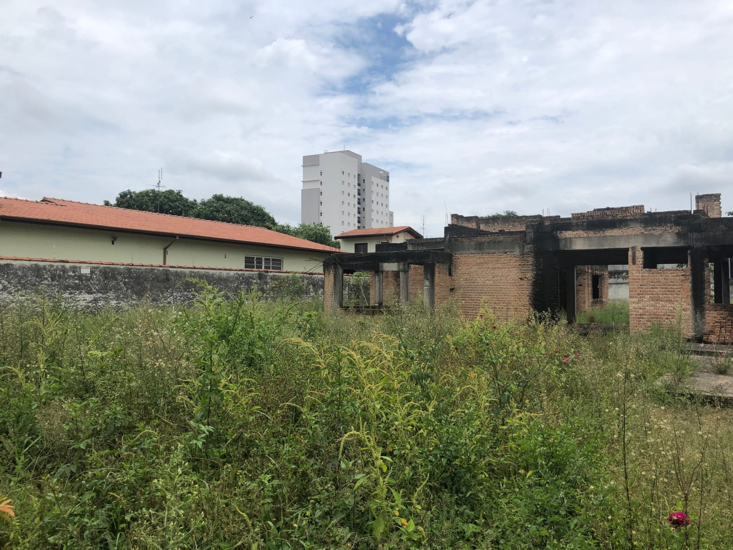 Terreno, 720 m² - Foto 12