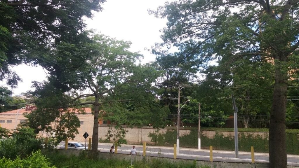 Terreno, 2180 m² - Foto 5