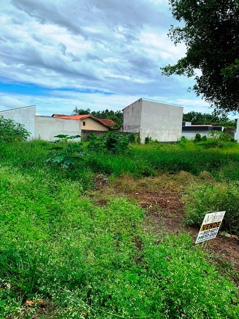 Terreno, 250 m² - Foto 7