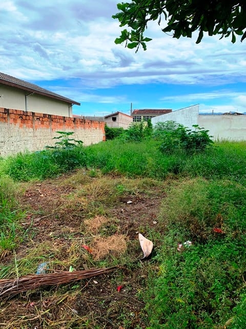 Terreno, 250 m² - Foto 8