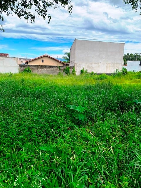 Terreno, 250 m² - Foto 13