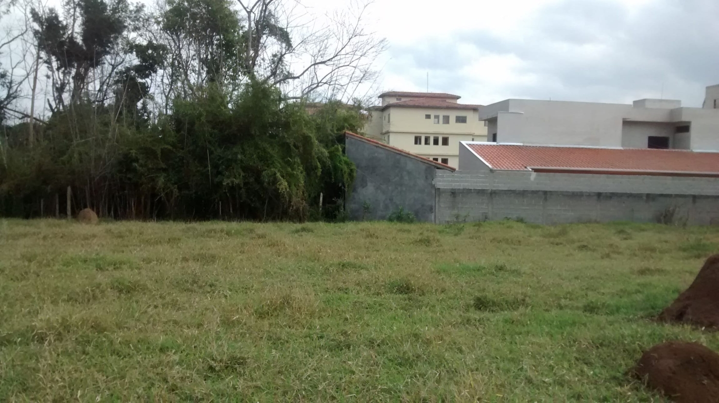 Terreno, 5 hectares - Foto 2