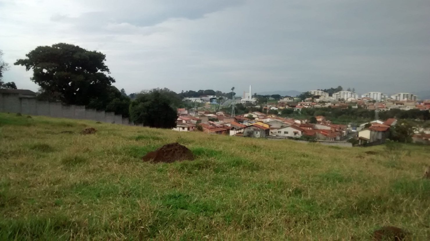 Terreno, 5 hectares - Foto 6