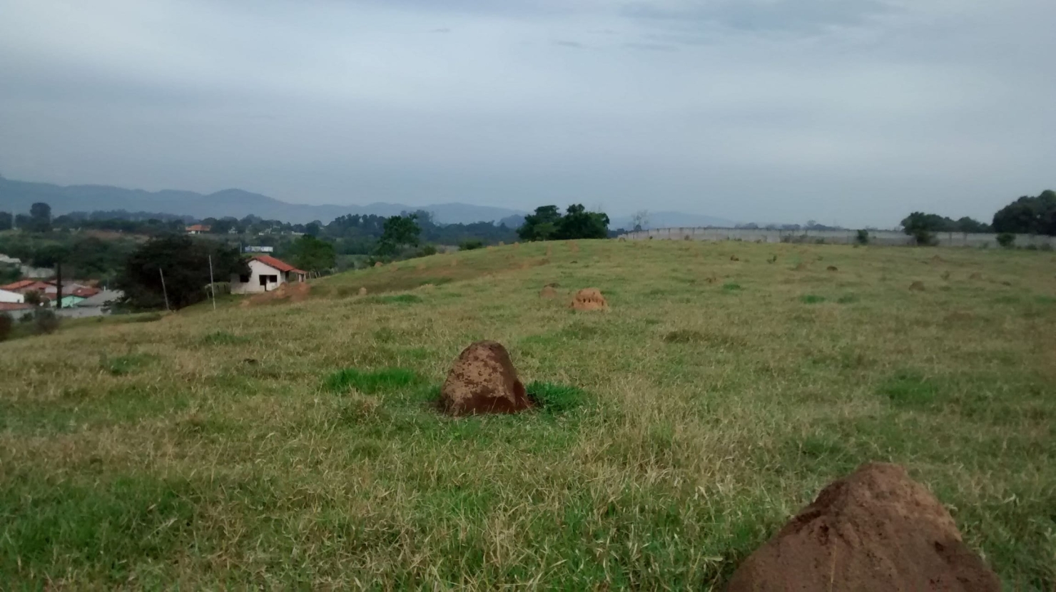 Terreno, 5 hectares - Foto 7