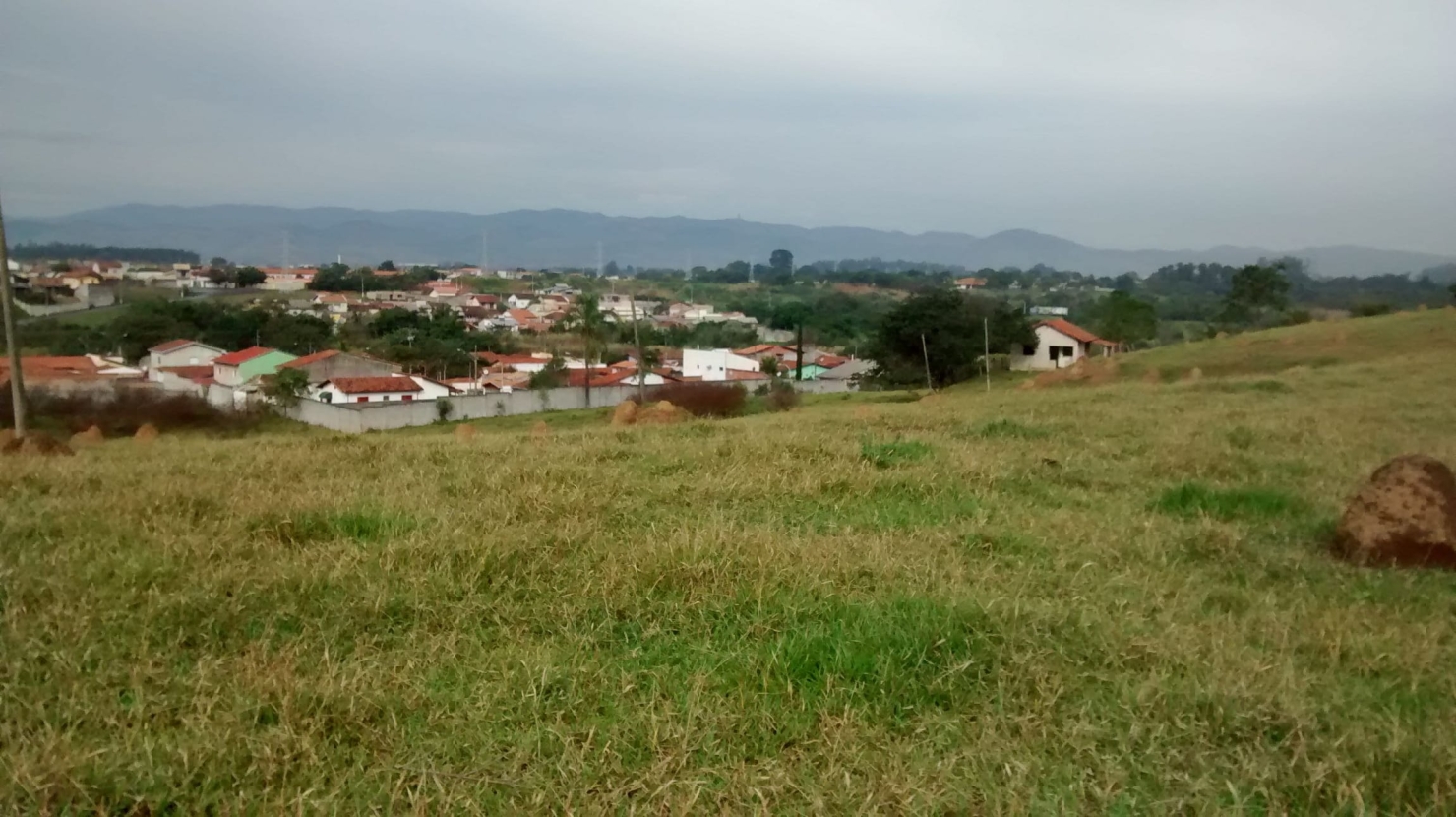 Terreno, 5 hectares - Foto 8