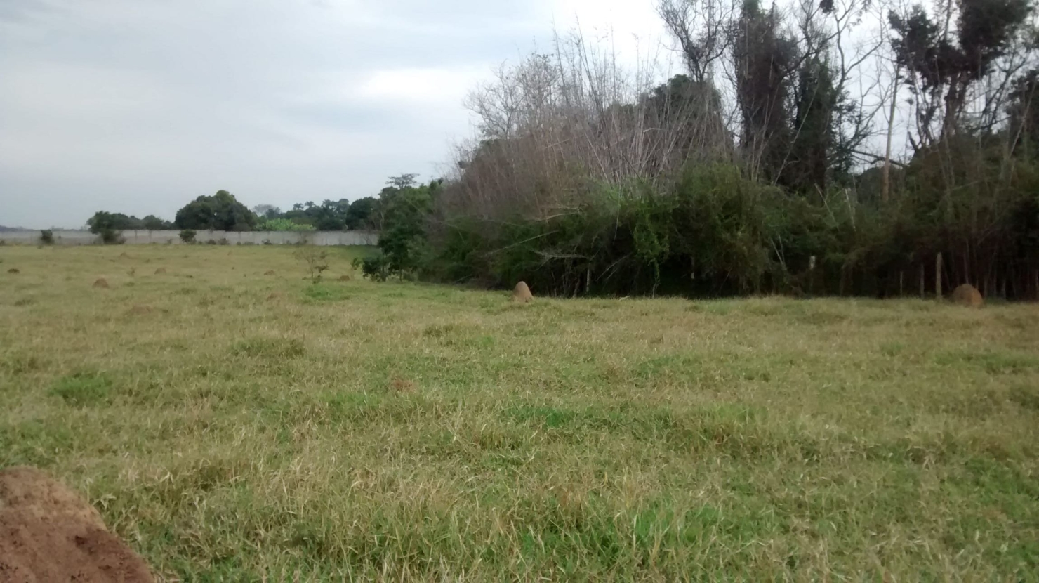 Terreno, 5 hectares - Foto 10