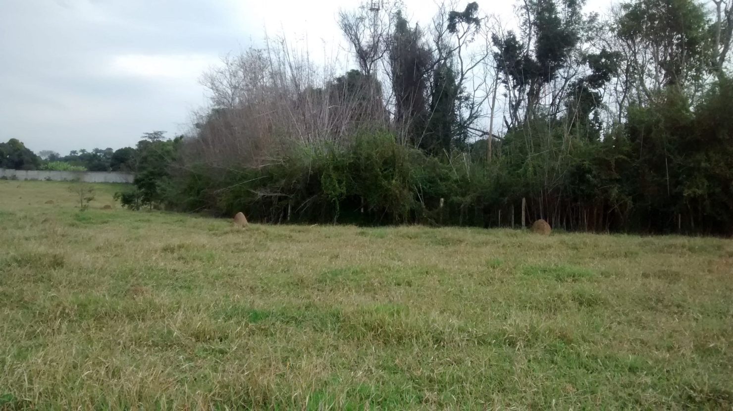 Terreno, 5 hectares - Foto 11