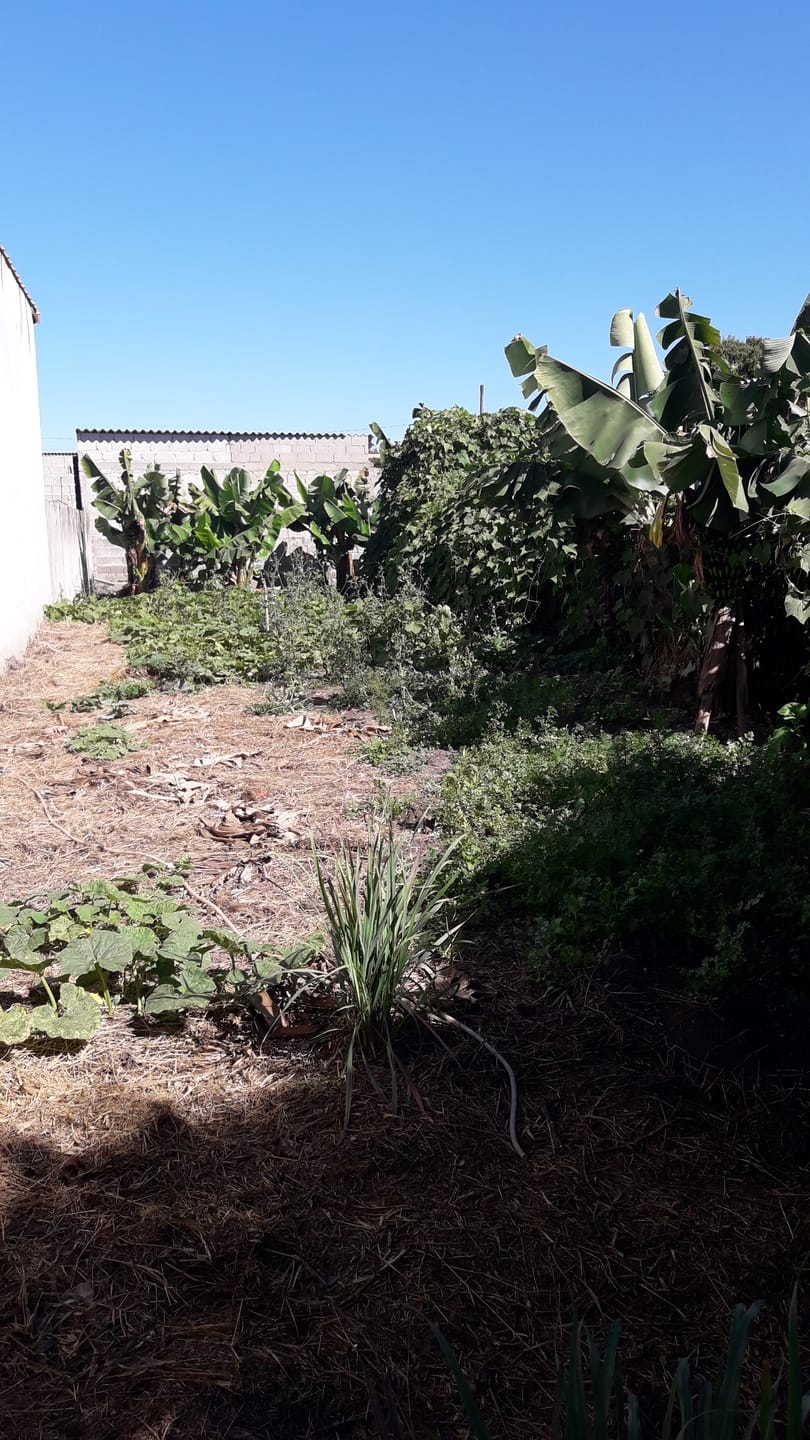 Terreno, 300 m² - Foto 2