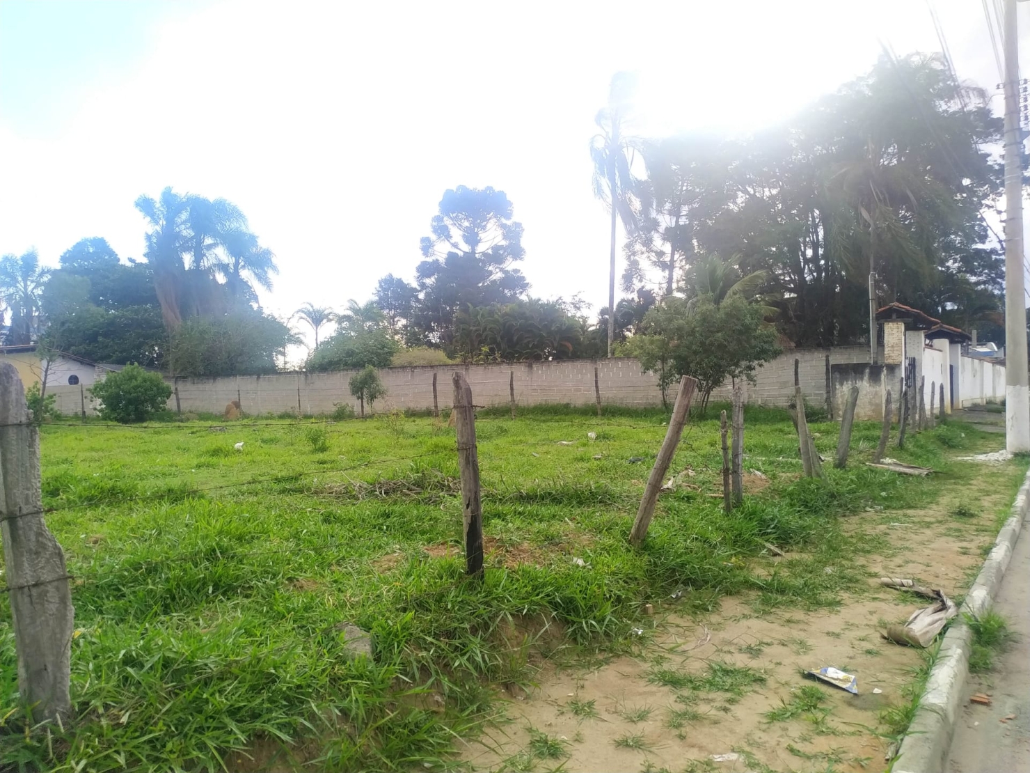 Terreno, 2 hectares - Foto 2