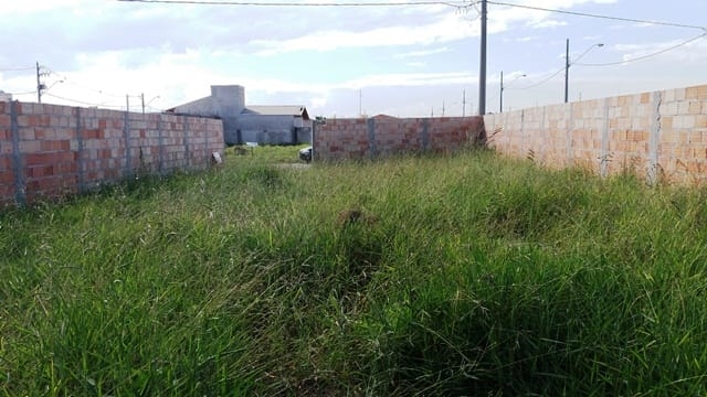 Terreno, 268 m² - Foto 7