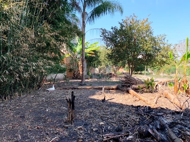 Terreno, 1240 m² - Foto 6