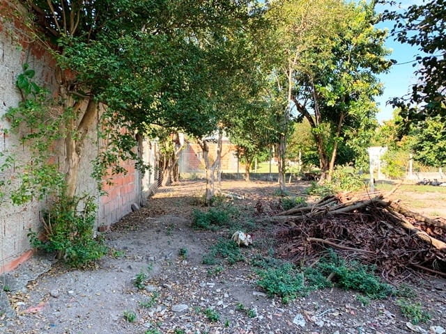 Terreno, 1240 m² - Foto 7