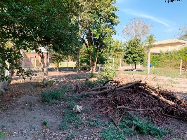 Terreno, 1240 m² - Foto 8