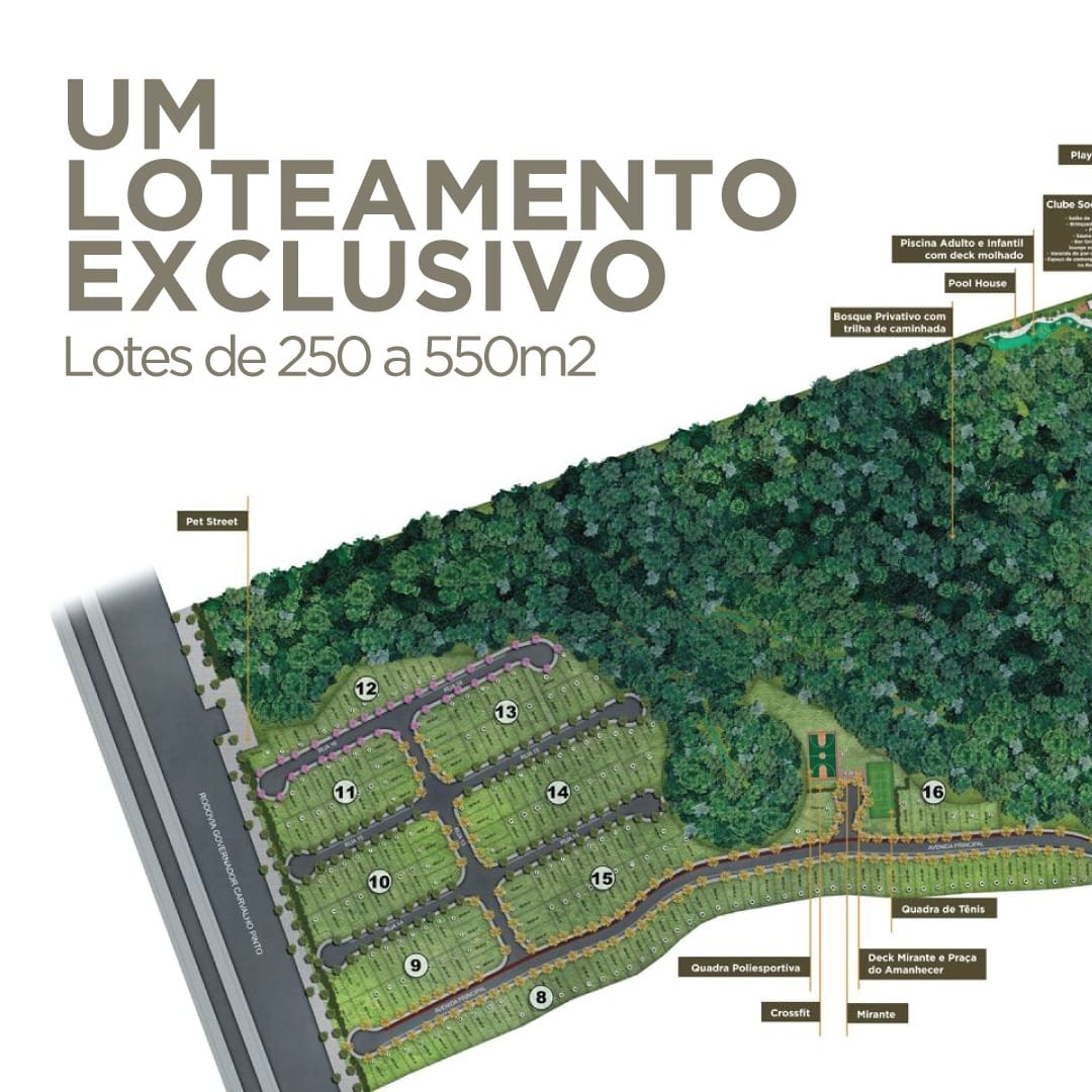 Terreno, 250 m² - Foto 1