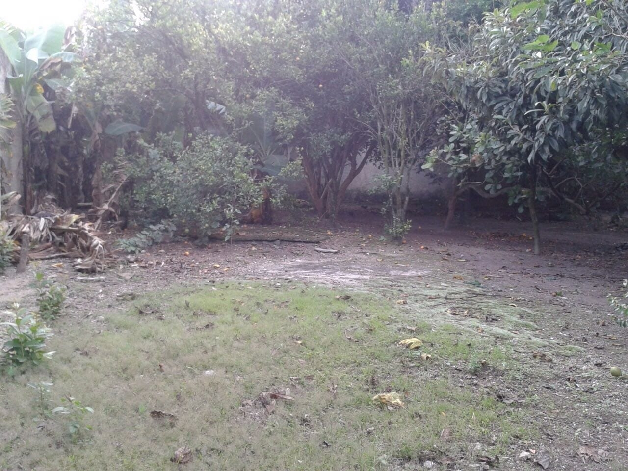 Terreno, 885 m² - Foto 6
