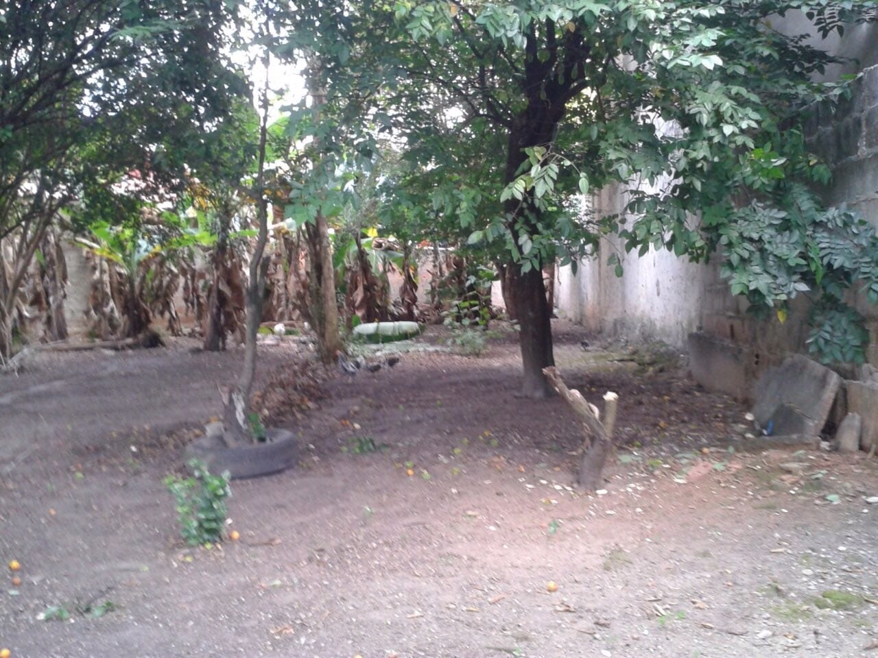 Terreno, 885 m² - Foto 11