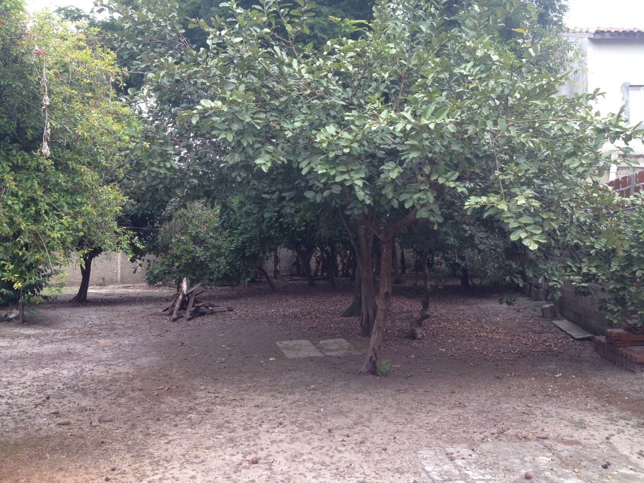 Terreno, 885 m² - Foto 13