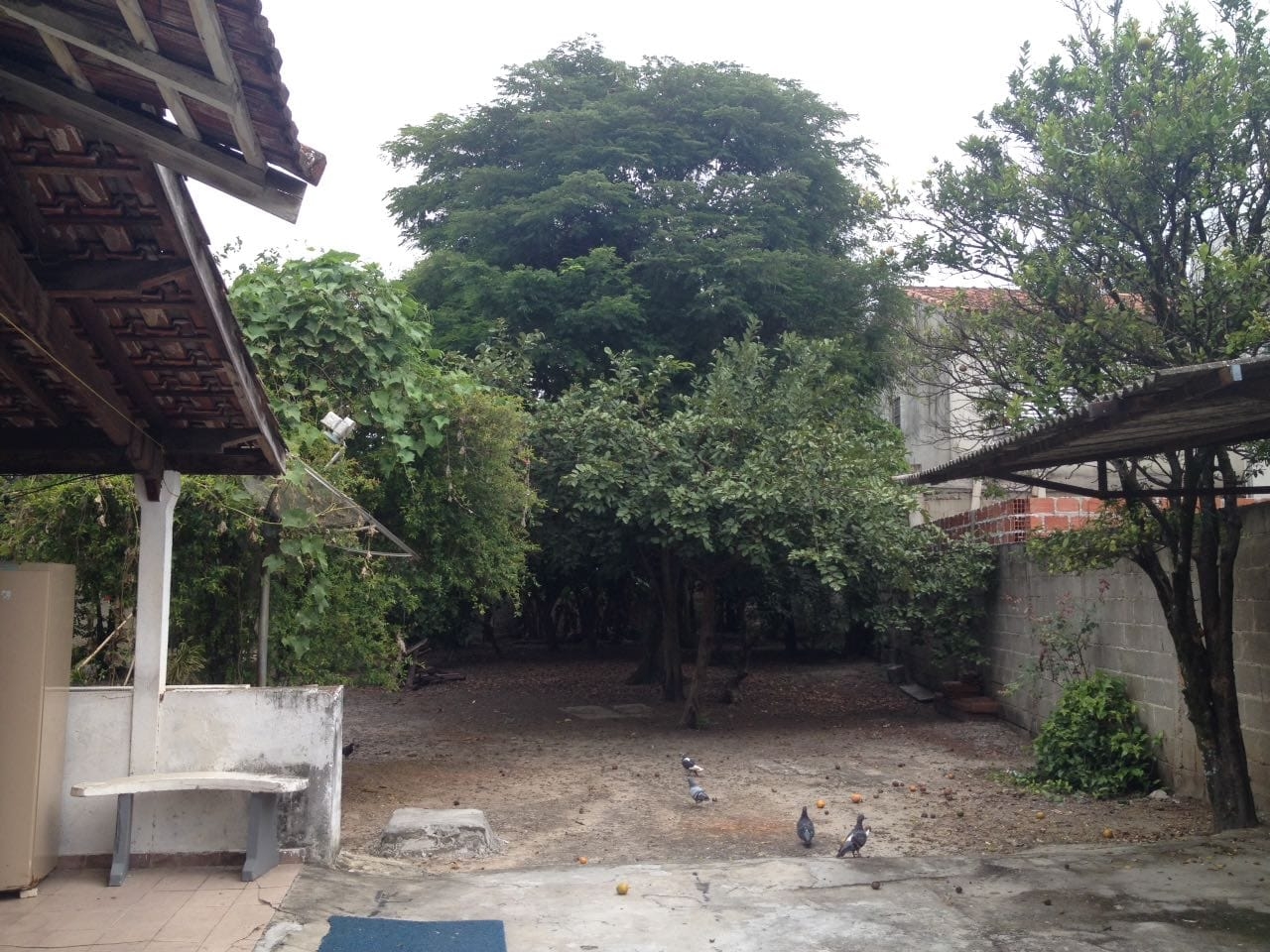Terreno, 885 m² - Foto 14