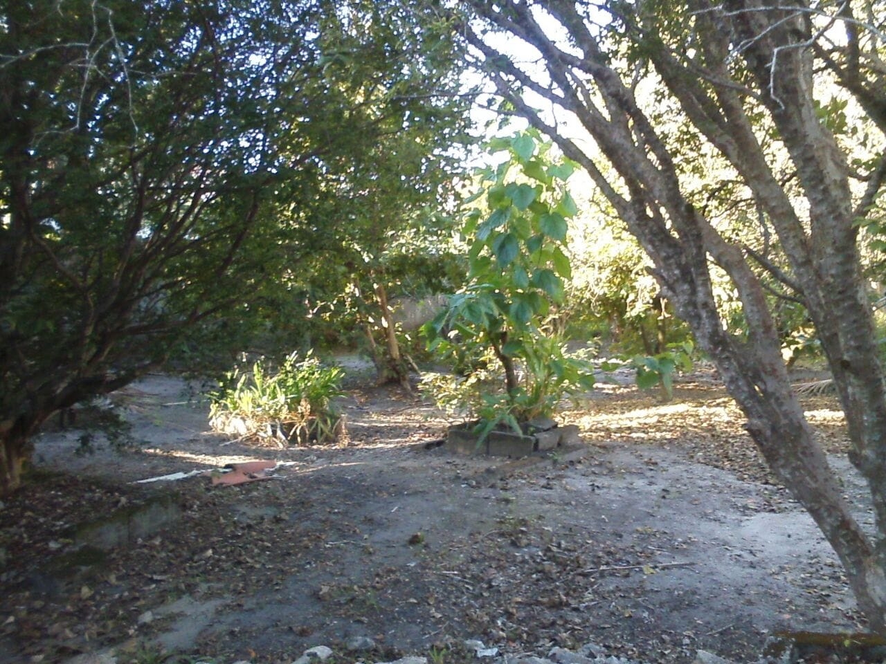 Terreno, 1700 m² - Foto 7