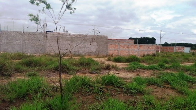 Terreno, 200 m² - Foto 9