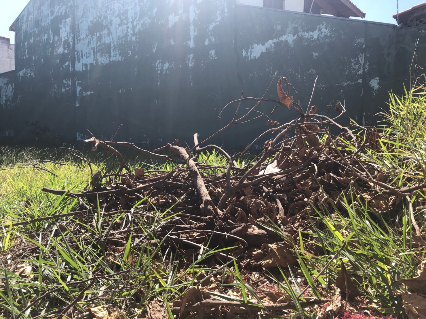 Terreno, 250 m² - Foto 2