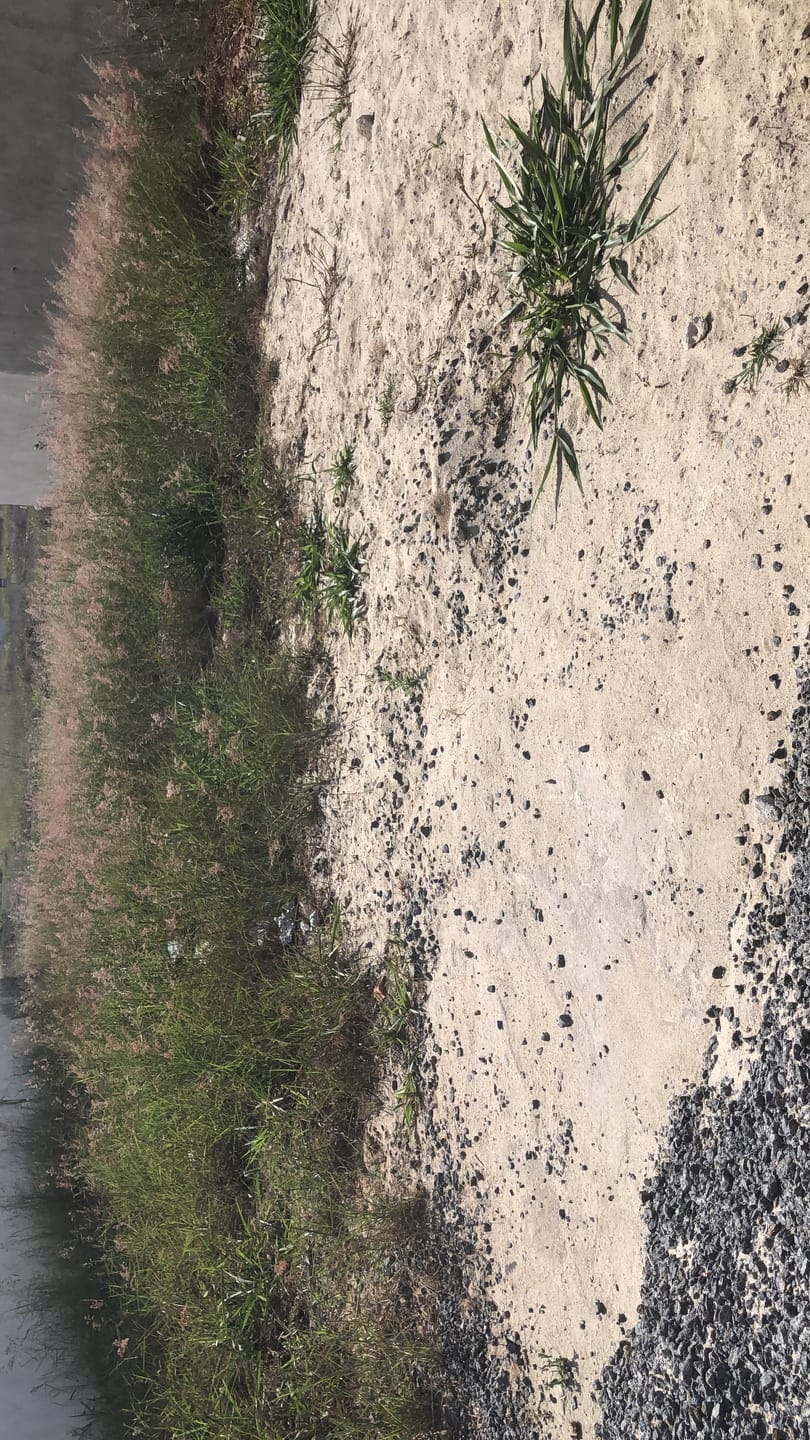 Terreno, 250 m² - Foto 5