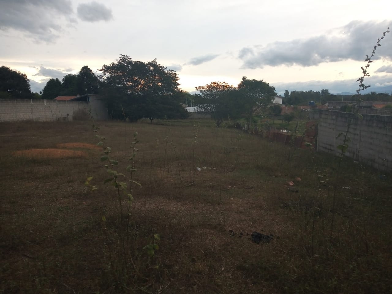 Terreno, 3100 m² - Foto 5