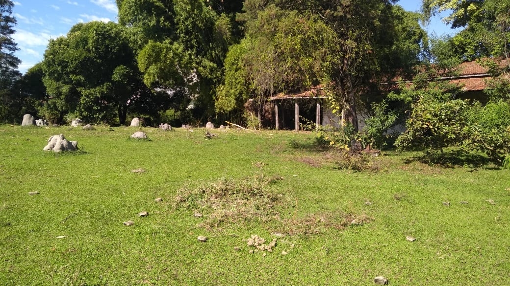 Terreno, 5000 m² - Foto 3