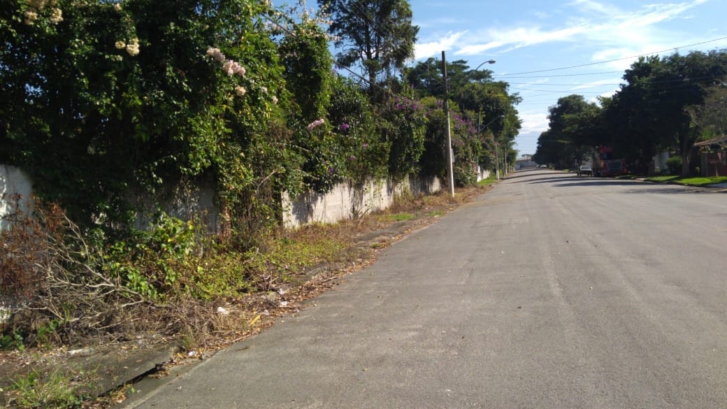 Terreno, 5000 m² - Foto 5