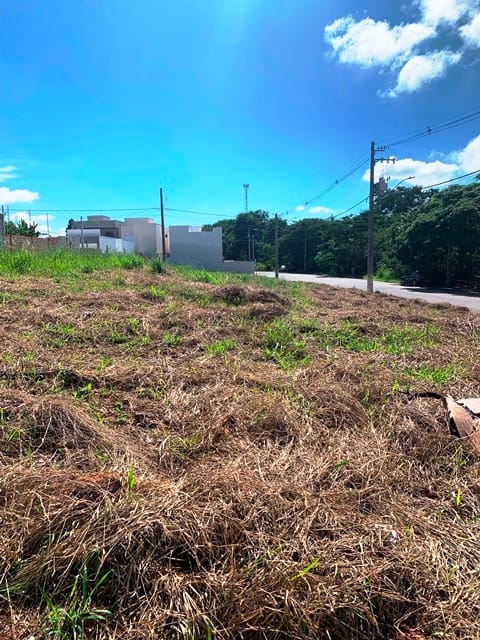 Terreno, 290 m² - Foto 1