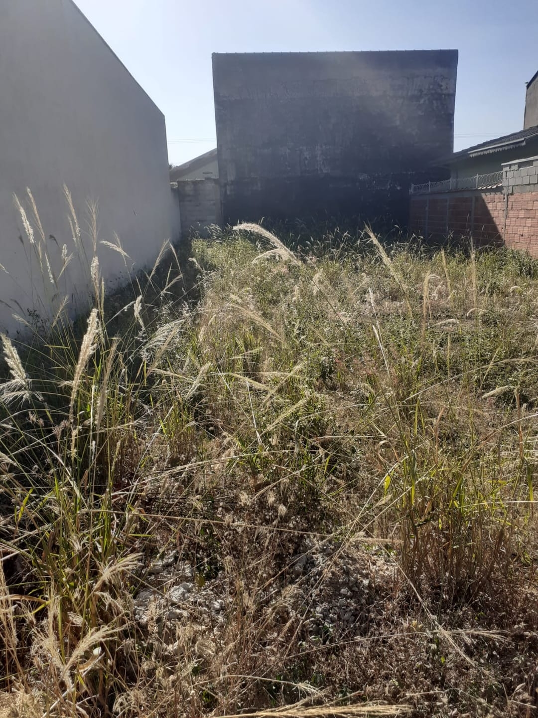 Terreno, 250 m² - Foto 1