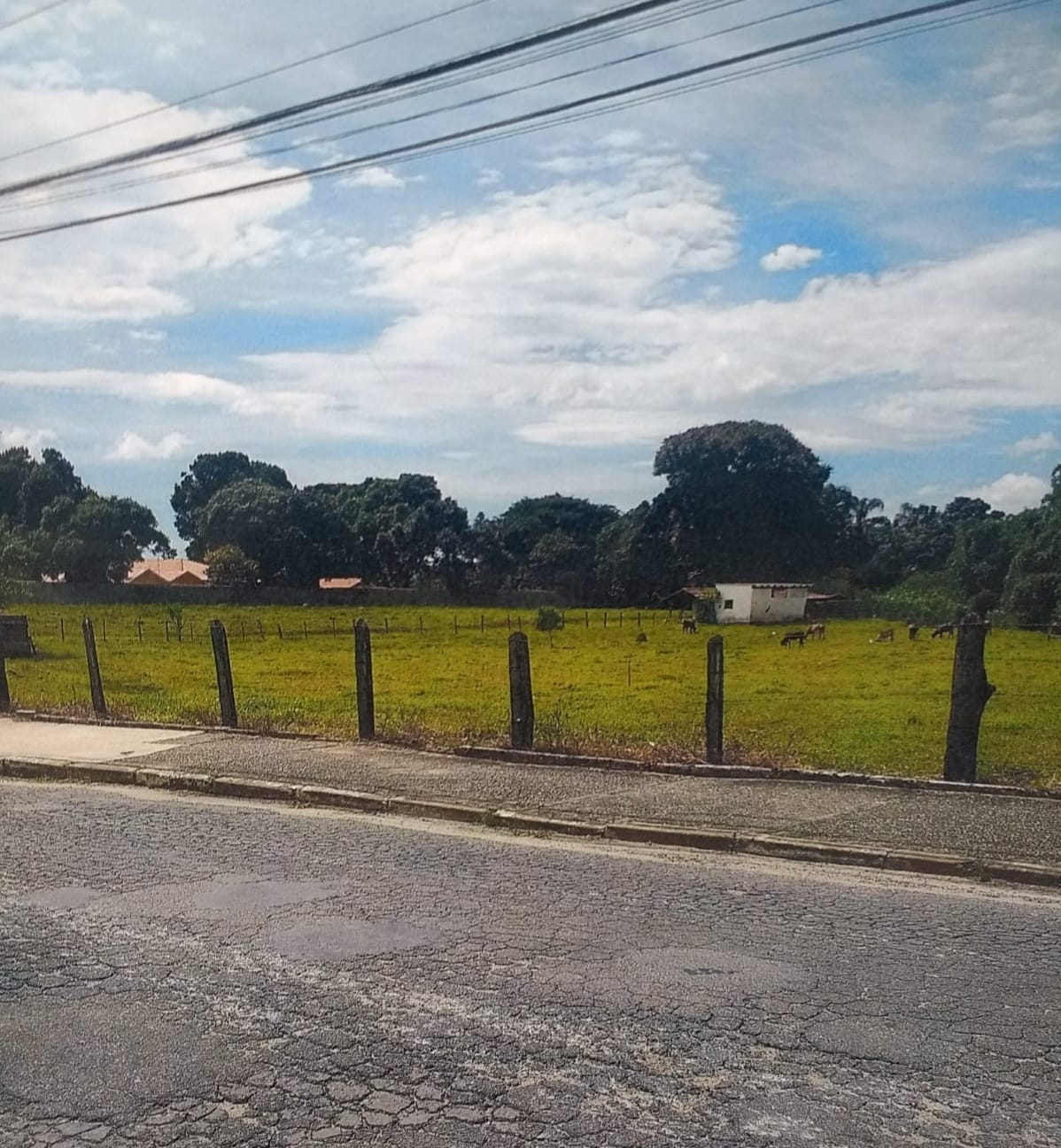 Terreno, 300 m² - Foto 1