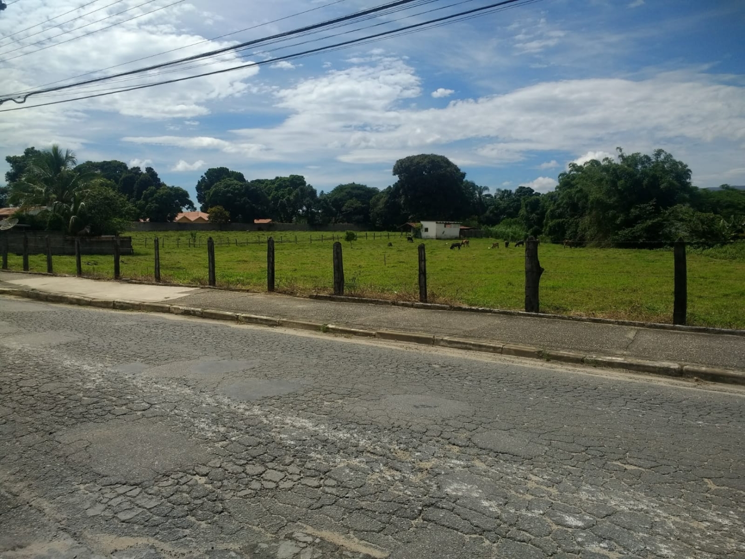 Terreno, 300 m² - Foto 4