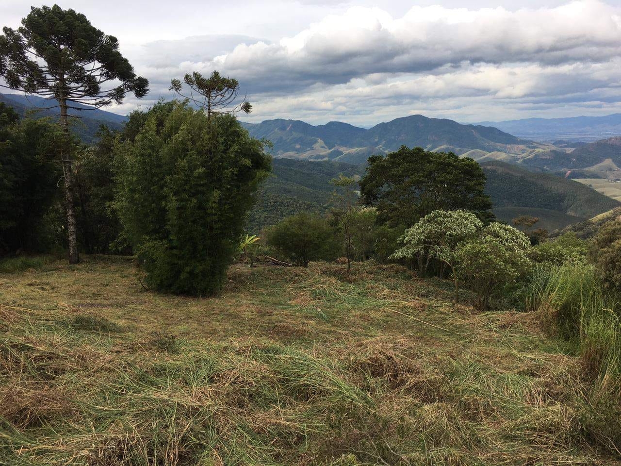 Terreno, 1300 m² - Foto 7