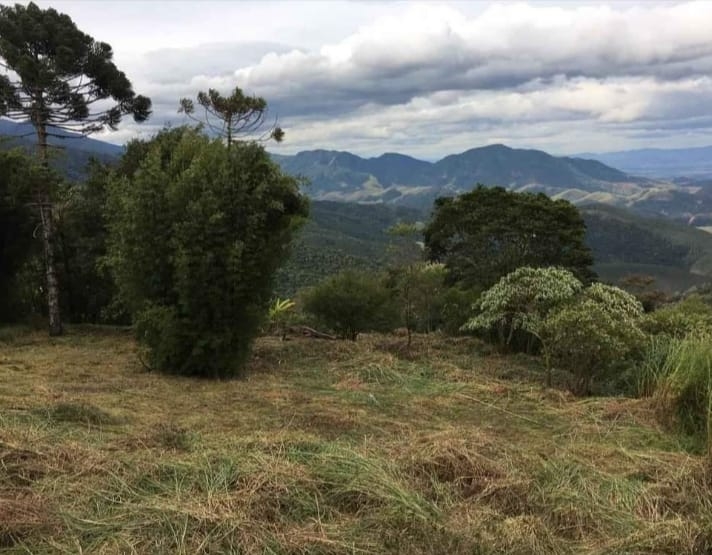 Terreno, 1300 m² - Foto 9