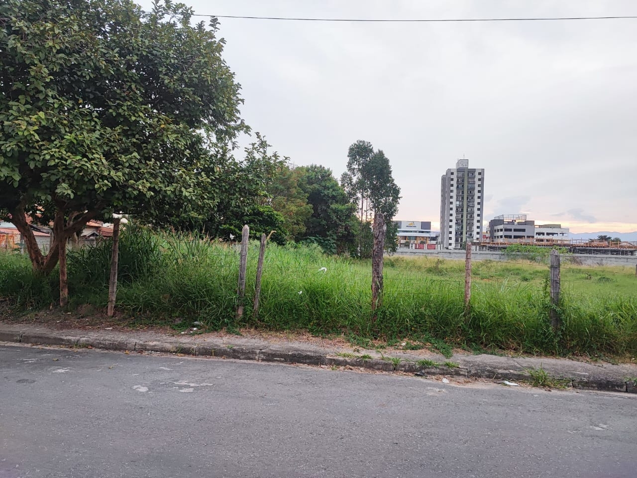 Terreno, 300 m² - Foto 4