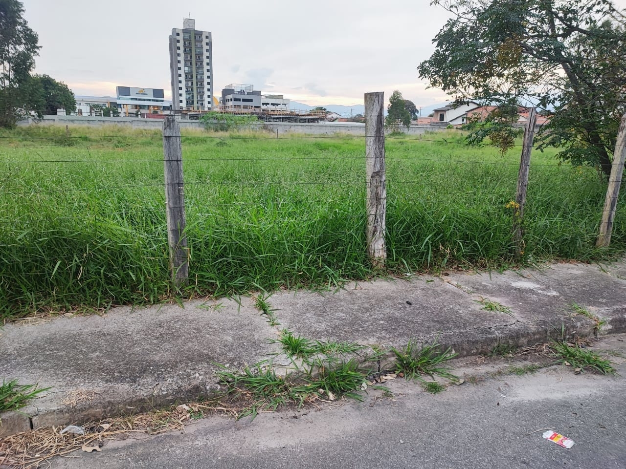 Terreno, 300 m² - Foto 1