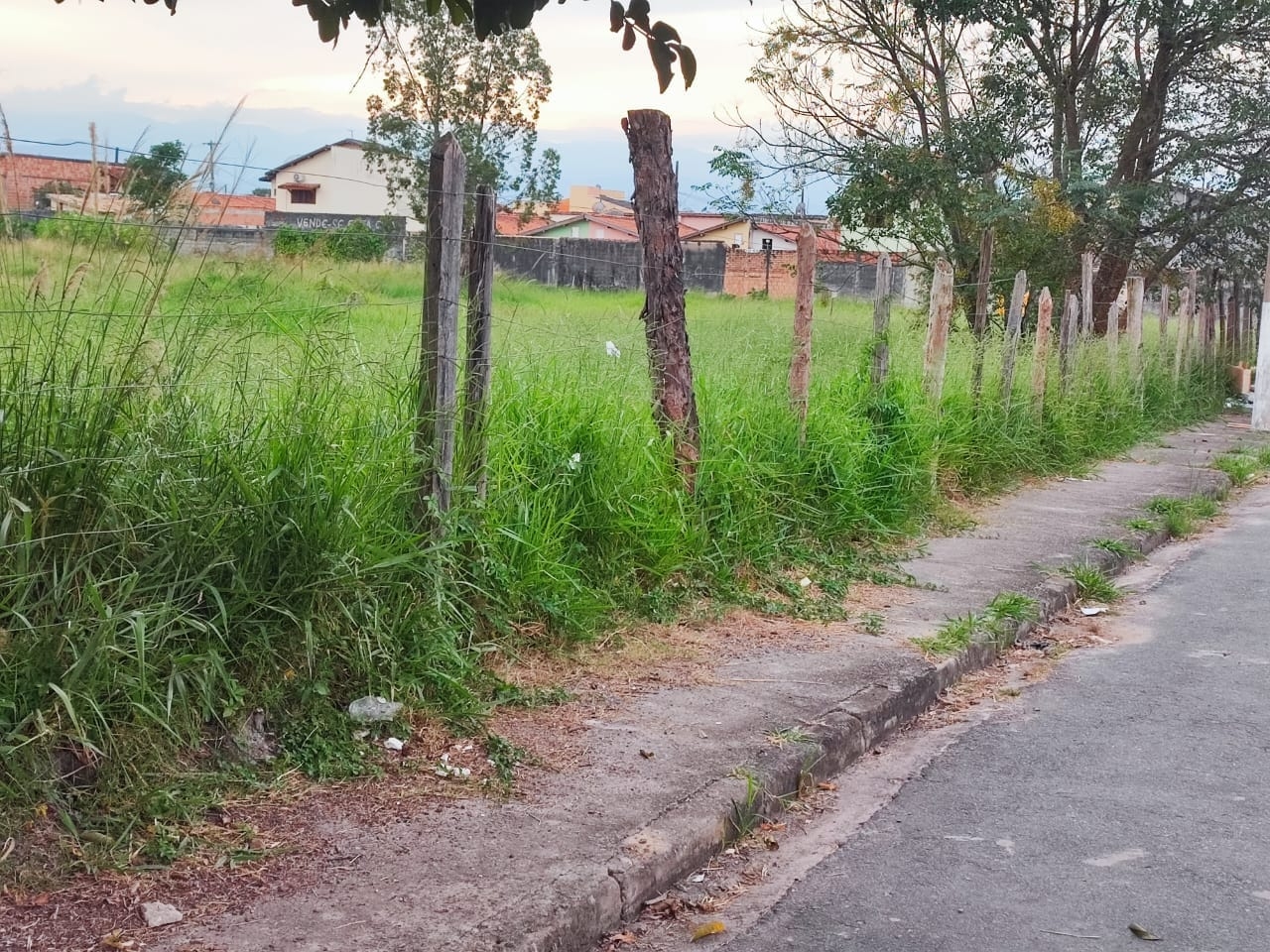 Terreno, 300 m² - Foto 4