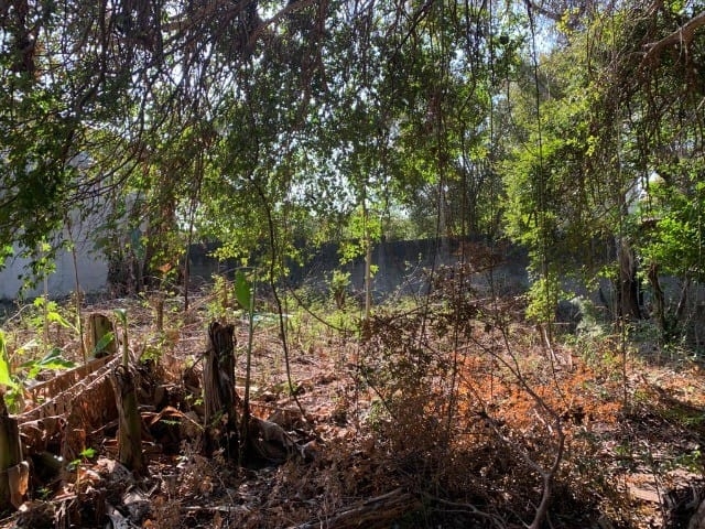 Terreno - Foto 3