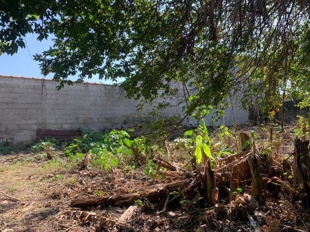 Terreno - Foto 4
