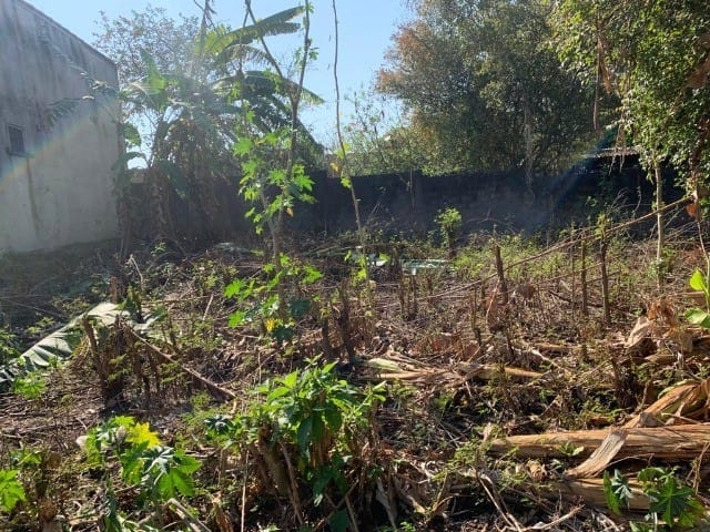 Terreno - Foto 6