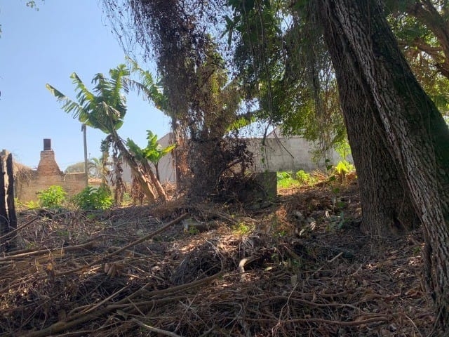 Terreno - Foto 7