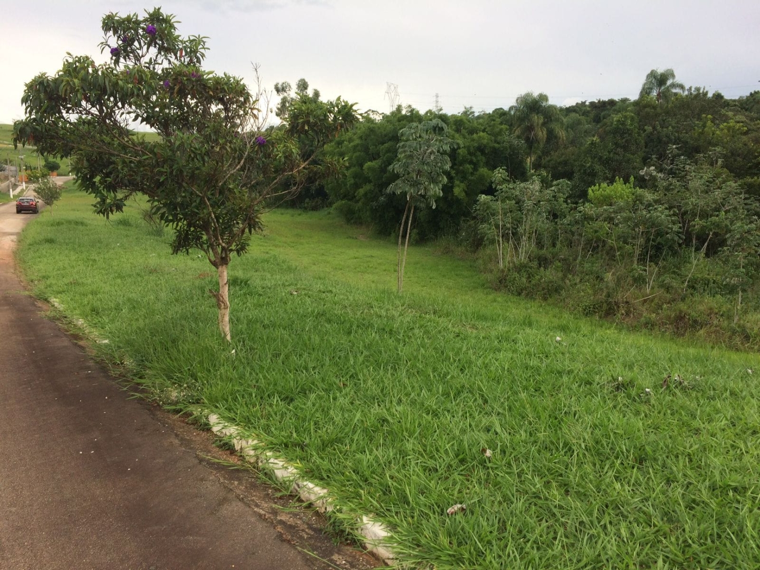 Terreno, 2025 m² - Foto 3