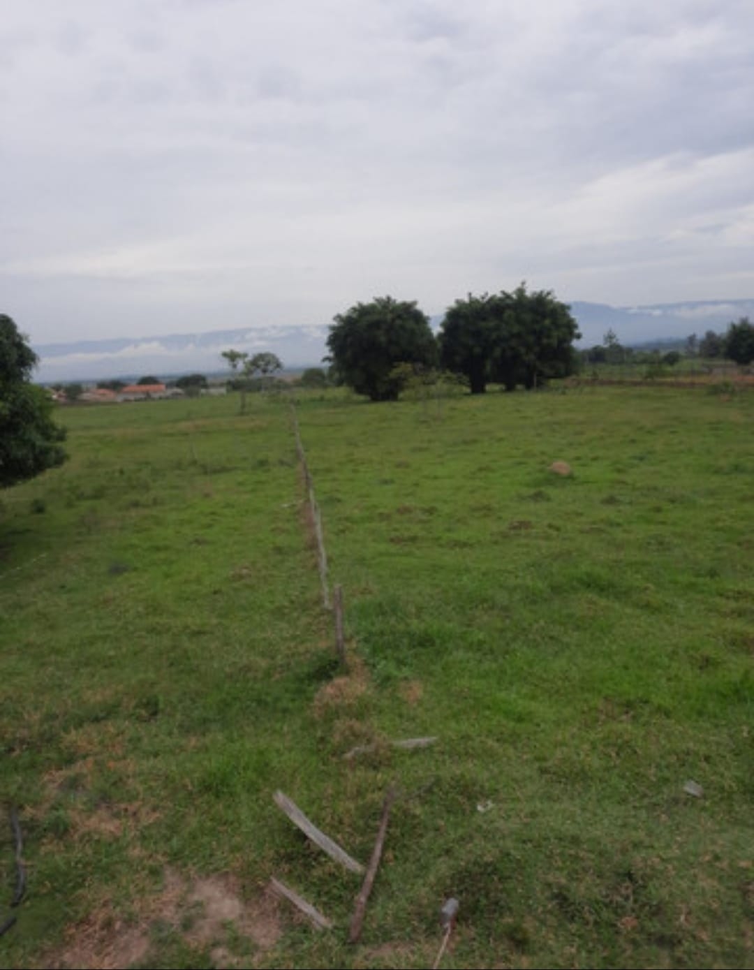 Terreno, 1 hectares - Foto 1